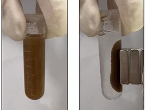 Bacteria ‘pills’ could detect gut diseases — without the endoscope