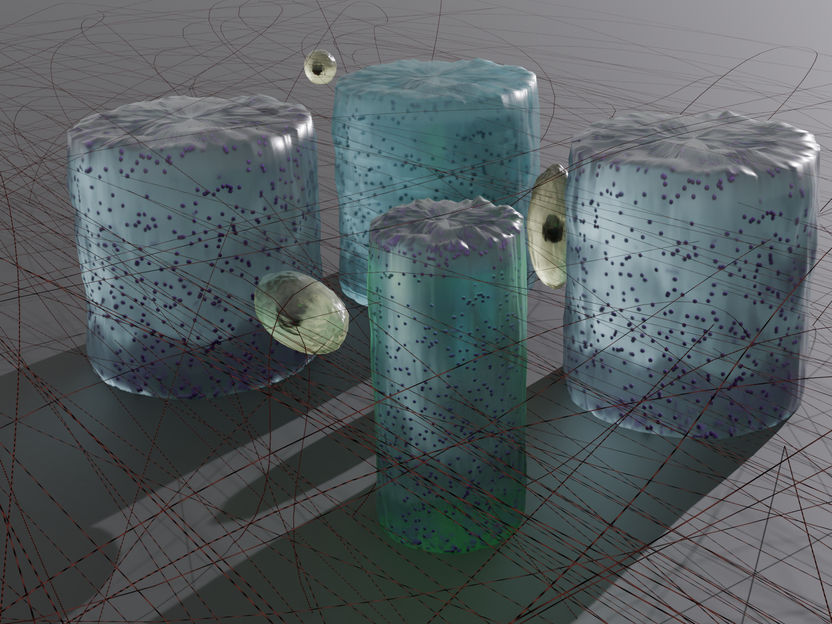 Copyright: Vicente Salas-Quiroz