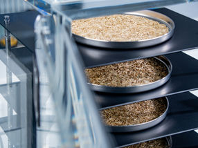 Flexible tray or bulk freeze drying