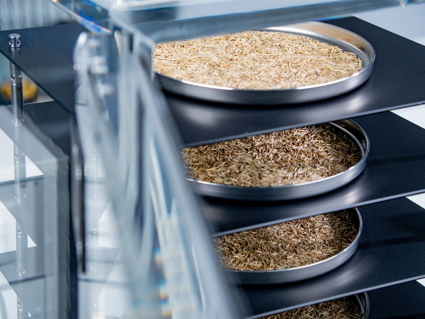 Flexible tray or bulk freeze drying